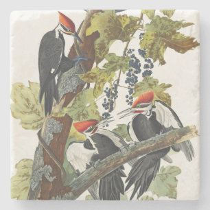 Dessous-de-verre En Pierre Art vintage de l'oiseau pic à tête rouge d'Audubon