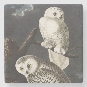 Dessous-de-verre En Pierre Art vintage d'oiseau de nuit chouette harfang d'Au
