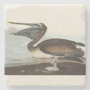 Dessous-de-verre En Pierre Art Vintage d'Oiseau Marin Côtier Pélican Brun d'A