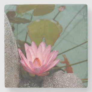 Dessous-de-verre En Pierre Asie, Viêt Nam. Nénuphar dans un étang de temple