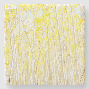 Dessous-de-verre En Pierre Aspens de gâteau de la vanille