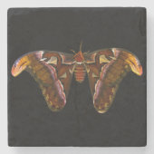 Dessous-de-verre En Pierre Atlas Moth (Devant)