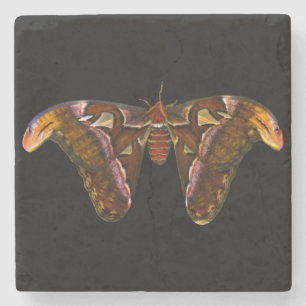 Dessous-de-verre En Pierre Atlas Moth