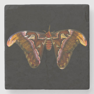 Dessous-de-verre En Pierre Atlas Moth