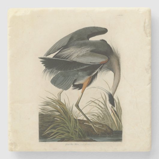 Dessous-de-verre En Pierre Audubon Great Blue Heron Marsh Bird (Devant)
