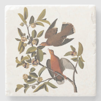 Dessous-de-verre En Pierre Audubon Zenaida Dove avec fleurs