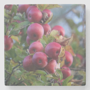 Dessous-de-verre En Pierre Automne Apple