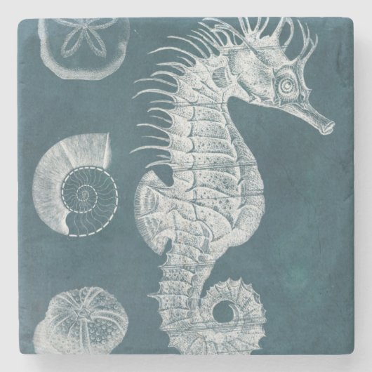 Dessous-de-verre En Pierre Azure Seahorse Study I (Devant)