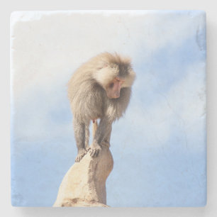 Dessous-de-verre En Pierre Babouin singe au sommet d'une montagne