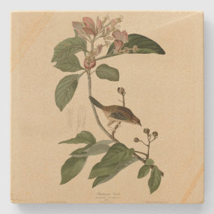 Dessous-de-verre En Pierre Bachman's Finch (Sparrow) Audubon Birds of America