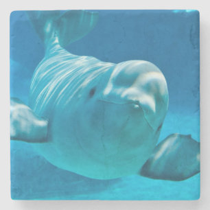 Dessous-de-verre En Pierre Baleine de beluga