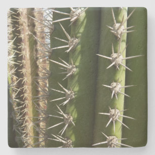 Dessous-de-verre En Pierre Barrel Cactus II Désert Nature Photo