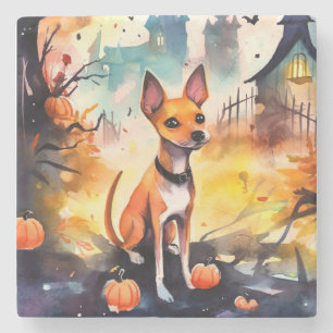 Dessous-de-verre En Pierre Basenji Halloween avec citrouilles effrayant