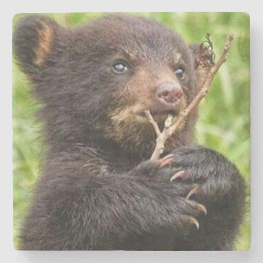 Dessous-de-verre En Pierre Beau bébé ours (Devant)