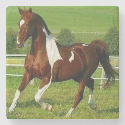 Dessous-de-verre En Pierre Beau Cheval (Devant)