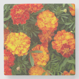Dessous-de-verre En Pierre Beau Dessous de verre de Pierre Marigolds