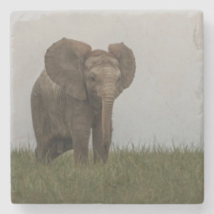 Dessous-de-verre En Pierre Beau éléphant d'African Bush