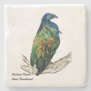 Dessous-de-verre En Pierre Beau Nicobar Pigeon Peint À La Main