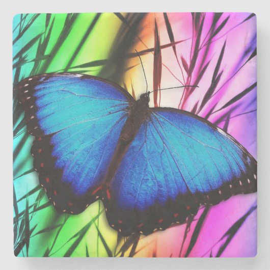 Dessous-de-verre En Pierre Beau papillon bleu Morpho (Devant)