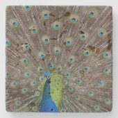 Dessous-de-verre En Pierre Beau Peacock (Devant)