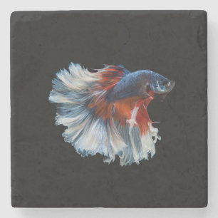 Dessous-de-verre En Pierre Beau poisson Betta Siamese