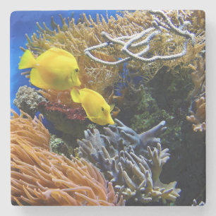 Dessous-de-verre En Pierre Beauté sous-marine, poisson et corail