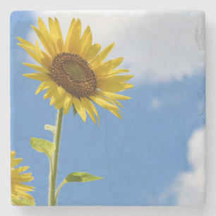 Dessous-de-verre En Pierre beautiful sun flowers witcloudy sky