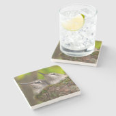 Dessous-de-verre En Pierre Bébé hummingbirds (Côté)