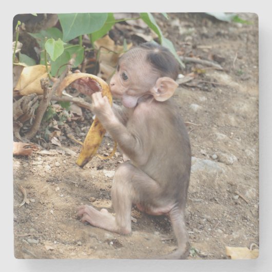 Dessous-de-verre En Pierre Bébé singe (Devant)