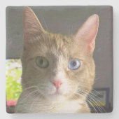 Dessous-de-verre En Pierre Belle chatte d'yeux (Devant)