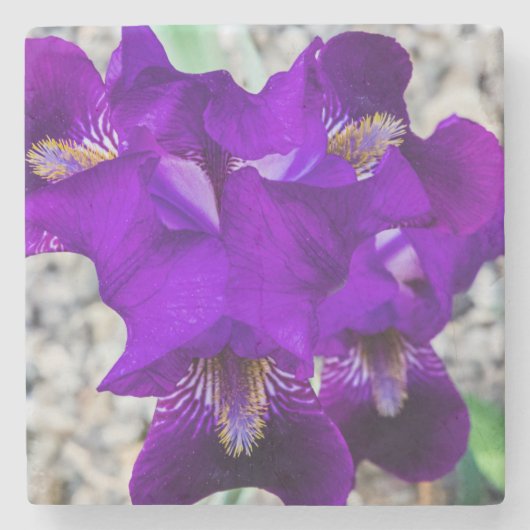 Dessous-de-verre En Pierre Belle iris violet (Devant)