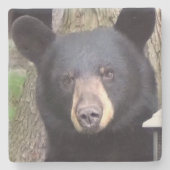 Dessous-de-verre En Pierre Belle Ours Noir (Devant)