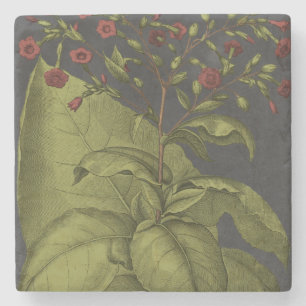 Dessous-de-verre En Pierre Besler Dramatique I