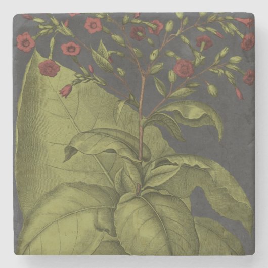 Dessous-de-verre En Pierre Besler Dramatique I (Devant)