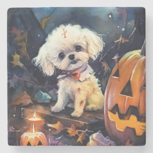 Dessous-de-verre En Pierre Bichon Frise d'Halloween avec des citrouilles effr