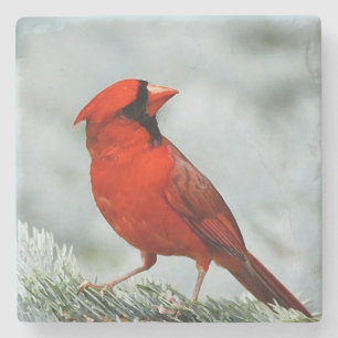Dessous-de-verre En Pierre BIRD réseau _coaster