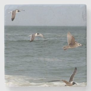 Dessous-de-verre En Pierre Birds in Flight by Shirley Taylor