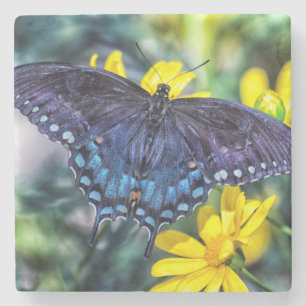Dessous-de-verre En Pierre Black Swallowtail sur fleurs jaunes