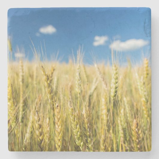 Dessous-de-verre En Pierre Blé du Kansas (Devant)