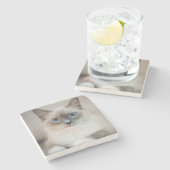 Dessous-de-verre En Pierre Bleu Ragdoll (Côté)
