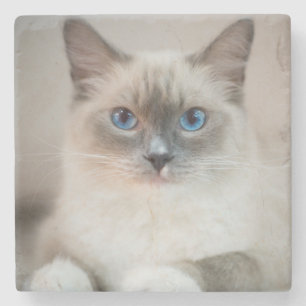 Dessous-de-verre En Pierre Bleu ‎ Ragdoll