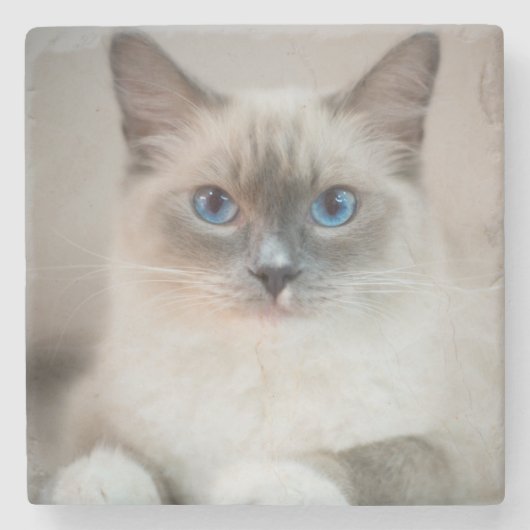 Dessous-de-verre En Pierre Bleu Ragdoll (Devant)