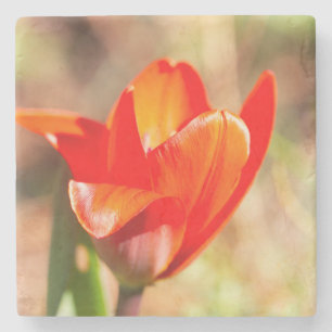 Dessous-de-verre En Pierre Blossom de la tulipe rouge