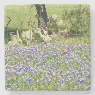 Dessous-de-verre En Pierre Bluebonnets Et Dessous de verre En Pierre De Marbr