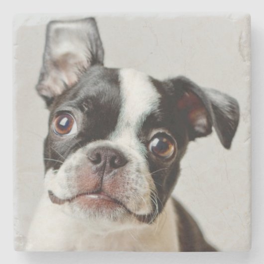 Dessous-de-verre En Pierre Boston Terrier (Devant)