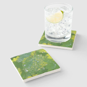 Dessous-de-verre En Pierre Boutons cool Sur Feuille Verte