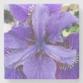 Dessous-de-verre En Pierre Brandeis (Devant)