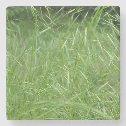 Dessous-de-verre En Pierre Bromus tectorum (Devant)