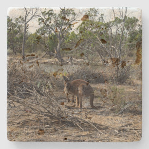 Dessous-de-verre En Pierre Brown Wild Australian Bush Kangaroo,
