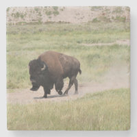 Buffalo en mouvement, Photographie